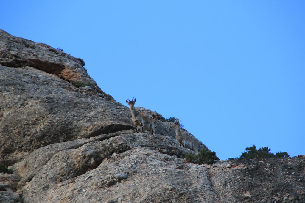 Ca La Leonor, Ecoturisme Terra Alta Villa Bot Cameră foto