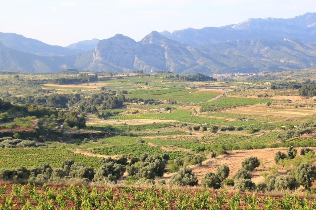 Ca La Leonor, Ecoturisme Terra Alta Villa Bot Cameră foto